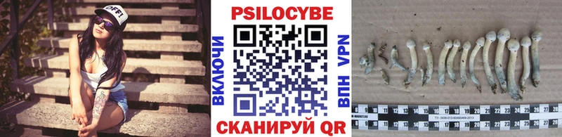 blacksprut ТОР  Пласт  Галлюциногенные грибы ЛСД 